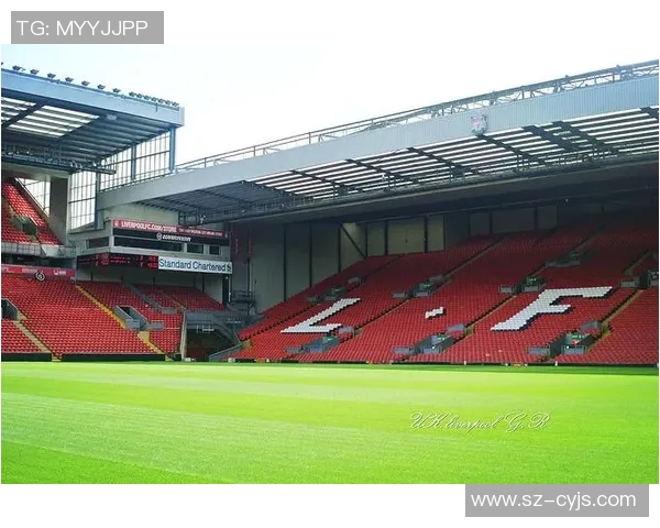 球场中心的激情碰撞与未来体育文化的创新发展探讨